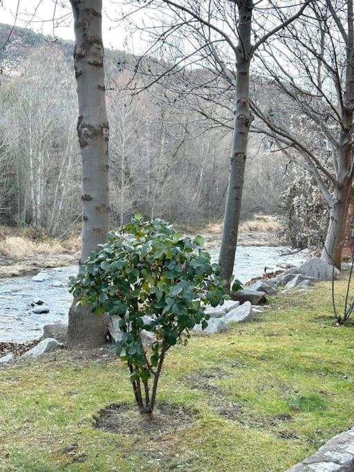 Acogedor Alojamiento En Martinet, Cerdanya, Puigcerda Экстерьер фото